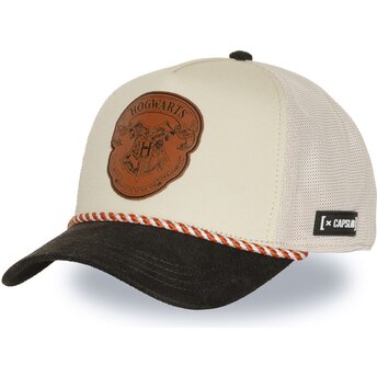 Petten gebogen multicolor snapback Hogwarts Harry Potter van Capslab