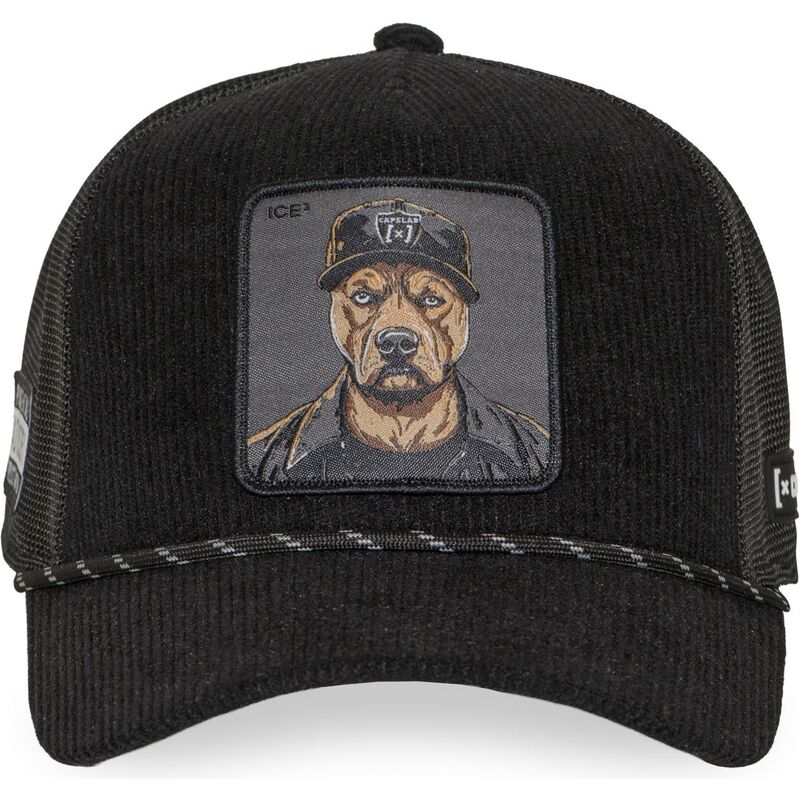 petten-gebogen-zwart-snapback-bad-dog-badb-hip-hop-dogz-van-capslab
