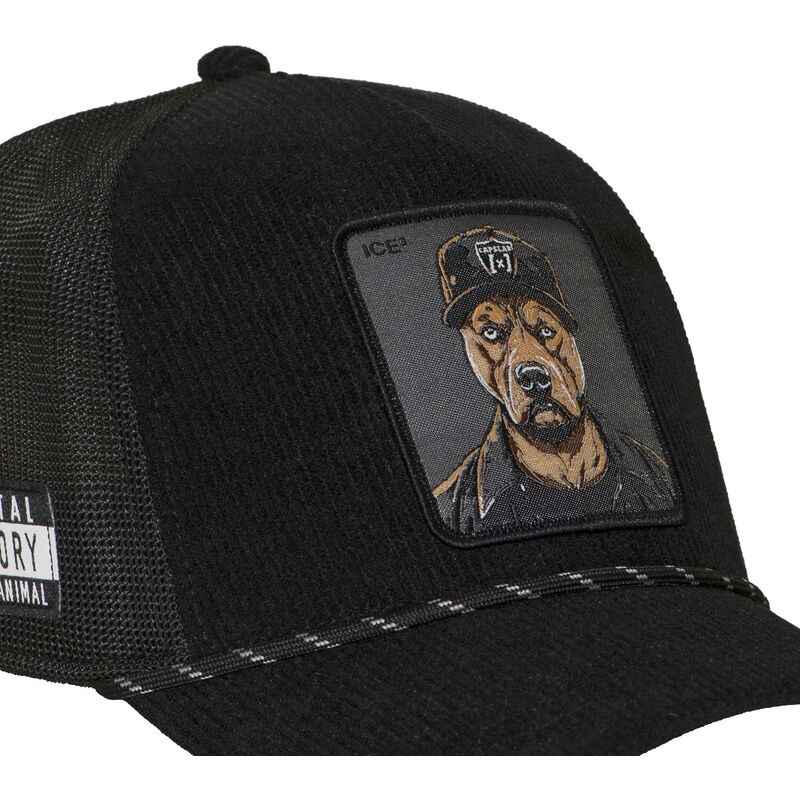 petten-gebogen-zwart-snapback-bad-dog-badb-hip-hop-dogz-van-capslab