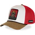petten-gebogen-meerkleurig-snapback-big-boy-bigb-hip-hop-dogz-van-capslab