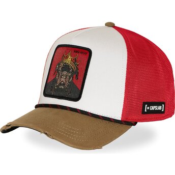 Petten gebogen meerkleurig snapback Big Boy BIGB Hip Hop Dogz van Capslab