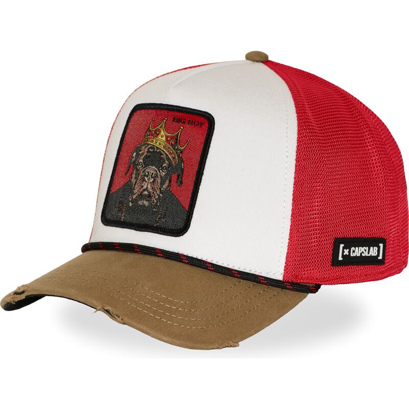 gorra-trucker-multicolor-big-boy-hip-bigb-hip-hop-dogz-de-capslab