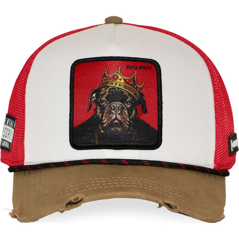 gorra-trucker-multicolor-big-boy-hip-bigb-hip-hop-dogz-de-capslab