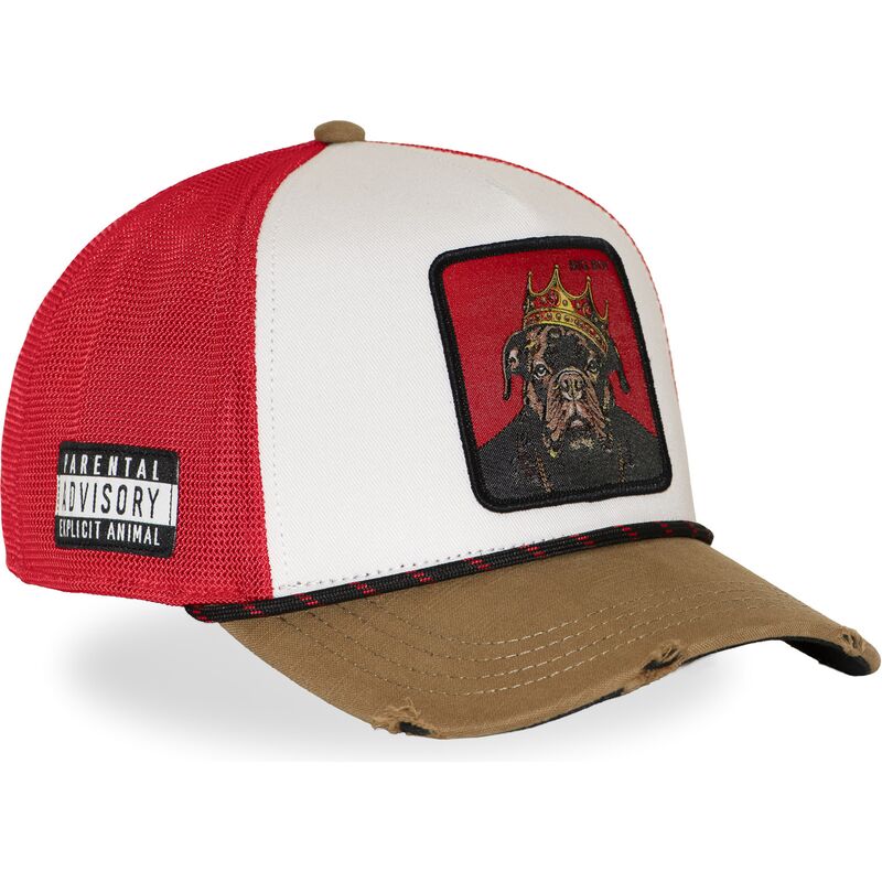 petten-gebogen-meerkleurig-snapback-big-boy-bigb-hip-hop-dogz-van-capslab petten-gebogen-meerkleurig-snapback-big-boy-bigb-hip-hop-dogz-van-capslab