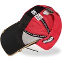 petten-gebogen-multicolor-snapback-hip-hop-dogz-van-capslab