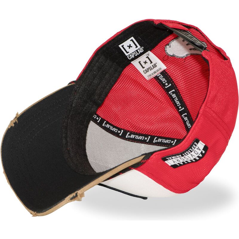 capslab-big-boy-hip-bigb-hip-hop-dogz-multicolor-trucker-hat