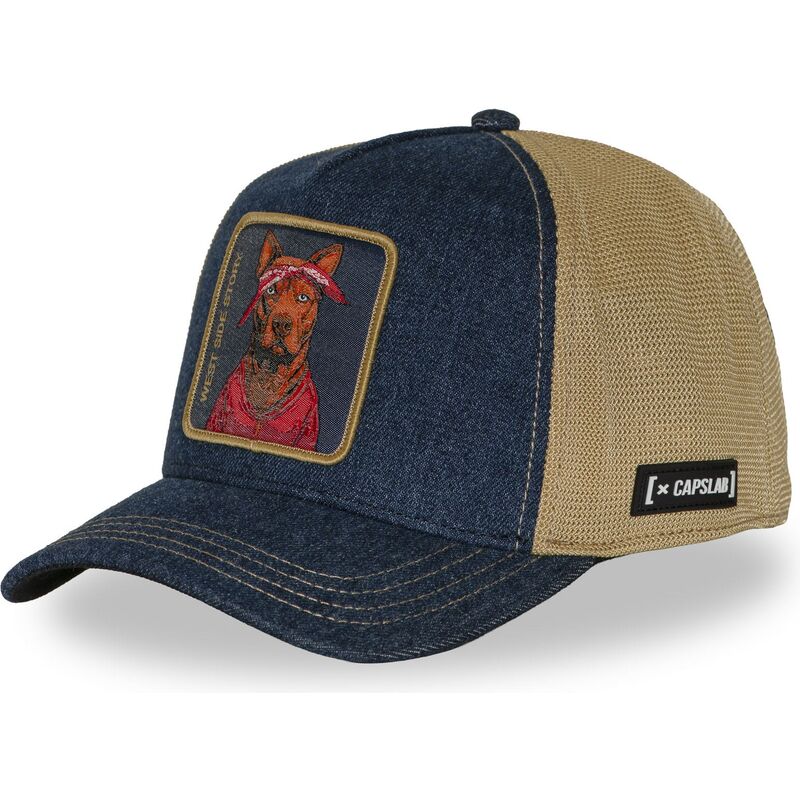 petten-gebogen-meerkleurig-snapback-west-side-story-wesb-hip-hop-dogz-van-capslab