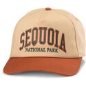 gorra-curva-marron-snapback-roscoe-de-sequoia-national-park-de-american-needle