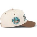 american-needle-curved-brim-roscoe-joshua-tree-national-park-brown-snapback-cap