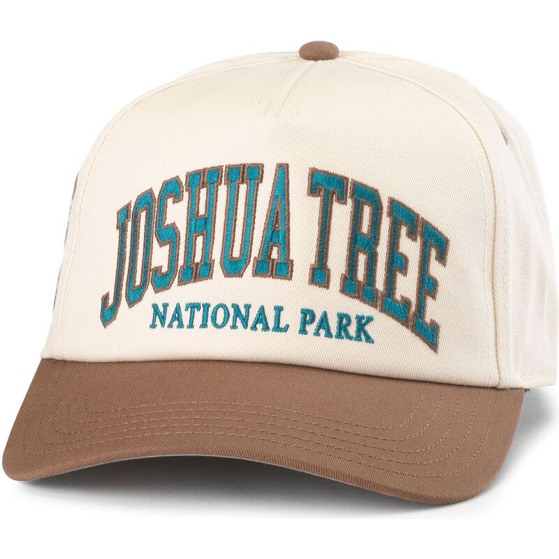 american-needle-curved-brim-roscoe-joshua-tree-national-park-brown-snapback-cap