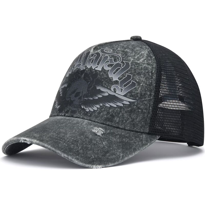 gorra-trucker-gris-flaming-gothic-skull-washed-de-ed-hardy gorra-trucker-gris-flaming-gothic-skull-washed-de-ed-hardy