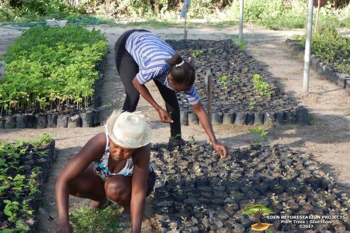 planting trees